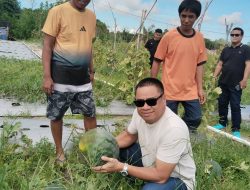 Maksimalkan ketahanan pangan, regenerasi pemuda perlu dilibatkan