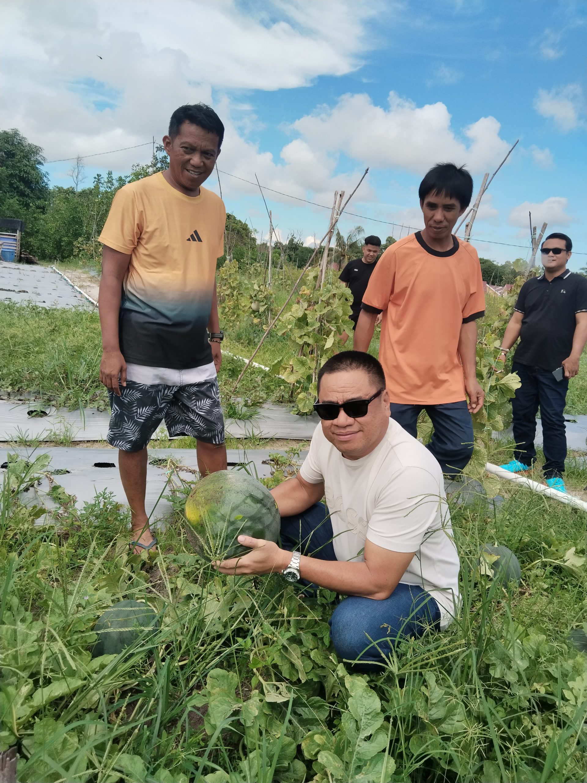 Maksimalkan ketahanan pangan, regenerasi pemuda perlu dilibatkan