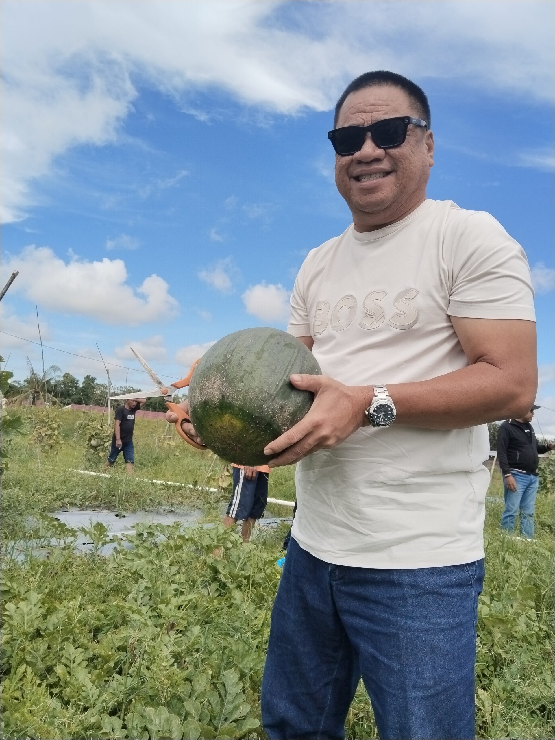 Jufri Budiman kunjungi Kelompok tani Saroan di Juata Kerikil, hasil panen Semangka dan Melon terbilang sukses