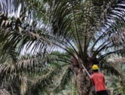 Koordinasi penyaluran CSR diperlukan agar tepat sasaran