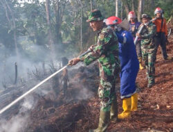 Kebakaran lahan di Tarakan Utara Padam dalam 50 Menit berkat Aksi Cepat Tim Gabungan
